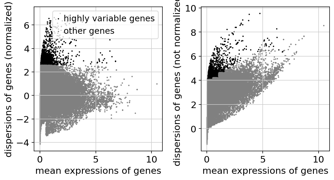 ../_images/examples_feature_matrix_scanpy_14_1.png