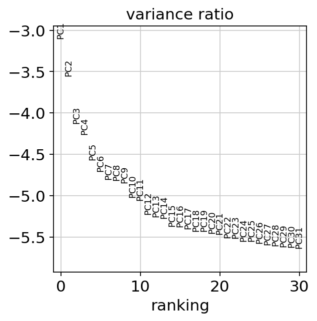 ../_images/examples_feature_matrix_scanpy_20_0.png