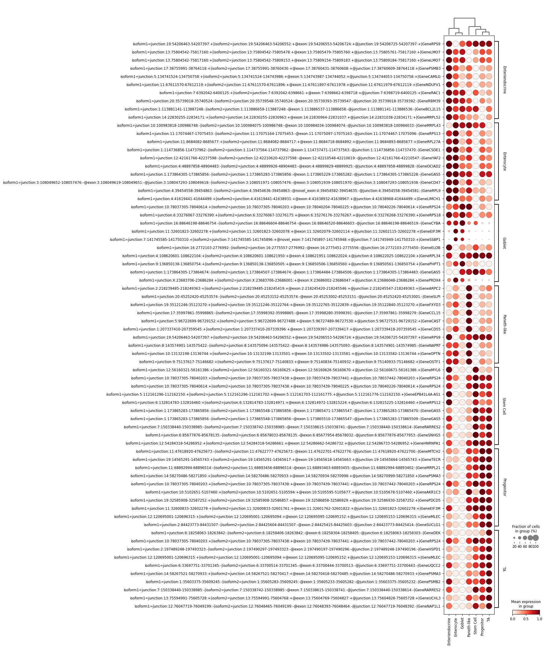 ../_images/examples_run_DOLPHIN_10x_colon_21_3.png