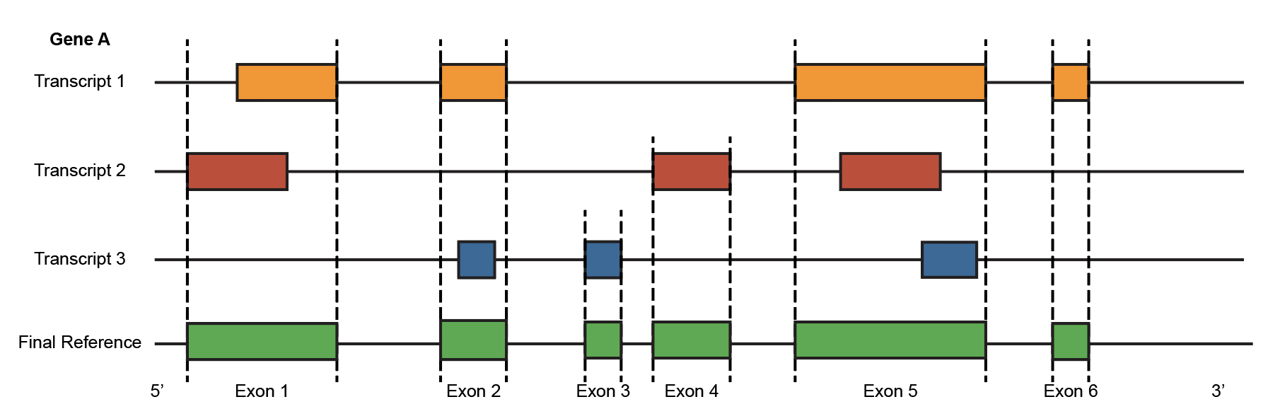 This is an example image